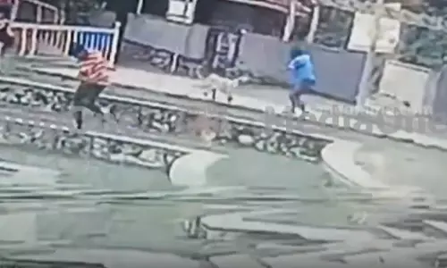 വിനോദസഞ്ചാരികളുടെ സുരക്ഷ ഉറപ്പാക്കുന്നതിനിടെ സെക്യൂരിറ്റി ജീവനക്കാരനെ തെരുവുനായ കടിച്ചു