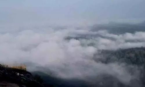 വയനാട്ടിൽ സഞ്ചാരി വെള്ളച്ചാട്ടത്തിൽ വീണ് മരിച്ചു