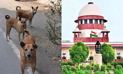 തെരുവുനായ പ്രശ്നം; 28ന് ഇടക്കാല ഉത്തരവിറക്കുമെന്ന് സുപ്രിംകോടതി