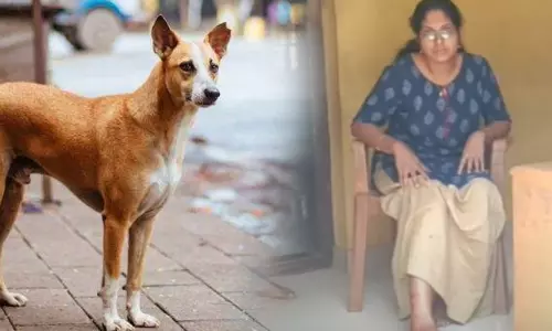 കൊല്ലത്ത് തെരുവുനായയുടെ കടിയേറ്റ് പൊലീസ് ഉദ്യോഗസ്ഥന്‍റെ കുടുംബം ചികിത്സയിൽ