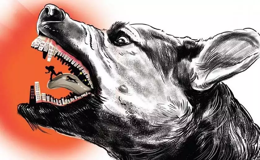 ഭീതി ഒഴിയുന്നില്ല; തെരുവുനായ ആക്രമണത്തിൽ നാളെ ഉന്നതതല യോഗം ഭീതി ഒഴിയുന്നില്ല; തെരുവുനായ ആക്രമണത്തിൽ നാളെ ഉന്നതതല യോഗം