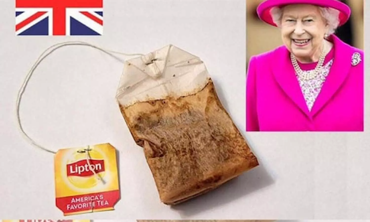 എലിസബത്ത് രാജ്ഞിയുടെ ടീ ബാഗ് ലേലത്തിന് പോയത് വൻ തുകക്ക്