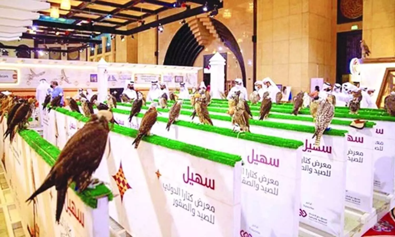 സുഹൈൽ അന്താരാഷ്ട്ര ഫാൽക്കൺ പ്രദർശനം സമാപിച്ചു സുഹൈൽ അന്താരാഷ്ട്ര ഫാൽക്കൺ പ്രദർശനം സമാപിച്ചു