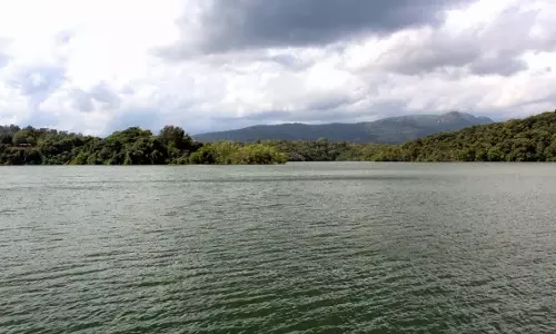 തിരുവനന്തപുരം നെയ്യാറിൽ യുവാവിനെ കാണാതായി തിരുവനന്തപുരം നെയ്യാറിൽ യുവാവിനെ കാണാതായി