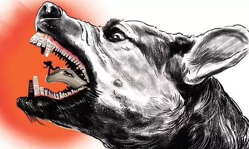 ഭീതി ഒഴിയുന്നില്ല; തെരുവുനായ ആക്രമണത്തിൽ നാളെ ഉന്നതതല യോഗം ഭീതി ഒഴിയുന്നില്ല; തെരുവുനായ ആക്രമണത്തിൽ നാളെ ഉന്നതതല യോഗം