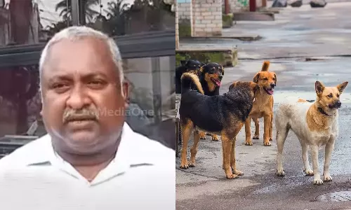 കൊട്ടാരക്കരയിൽ പഞ്ചായത്തംഗത്തെ തെരുവുനായ കടിച്ചു