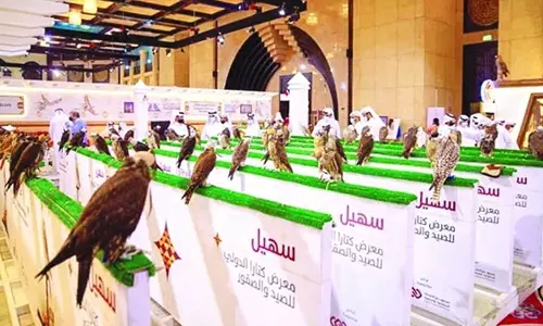 സുഹൈൽ അന്താരാഷ്ട്ര ഫാൽക്കൺ പ്രദർശനം സമാപിച്ചു