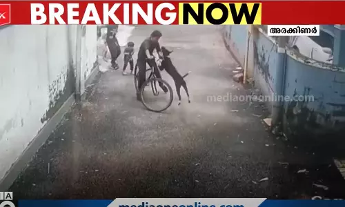 കോഴിക്കോട് 12 വയസുകാരനെ തെരുവുനായ കടിച്ചുപറിച്ചു; ഞെട്ടിക്കുന്ന ദൃശ്യങ്ങൾ