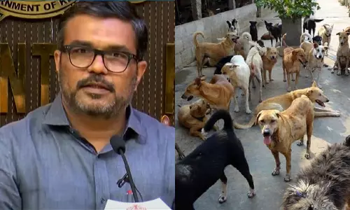 തെരുവുനായകള്‍ക്ക് കൂട്ട വാക്‌സിനേഷനുമായി സര്‍ക്കാര്‍; ഷെല്‍ട്ടറുകള്‍ ഒരുക്കും