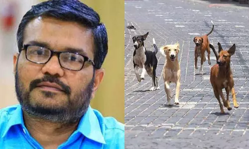 തെരുവുനായകളെ കൊല്ലാന്‍ സുപ്രിംകോടതിയുടെ അനുമതി തേടുമെന്ന് സര്‍ക്കാര്‍