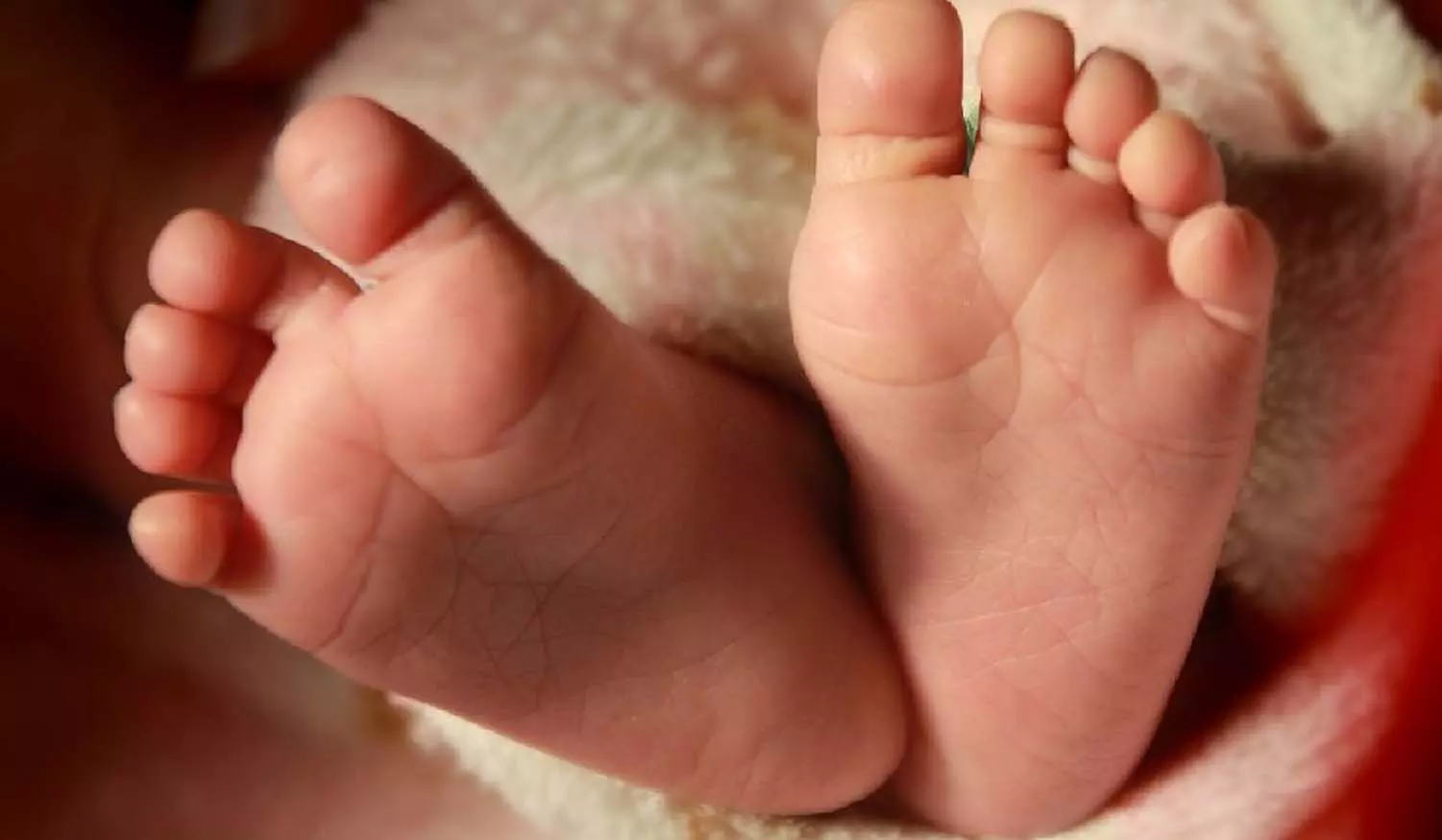 അവൾ ഉറങ്ങുകയായിരുന്നു, ഫോൺ പൊട്ടിത്തെറിക്കുമെന്ന് കരുതിയില്ല; നേഹയെ ഓർത്ത് വിതുമ്പി അമ്മ