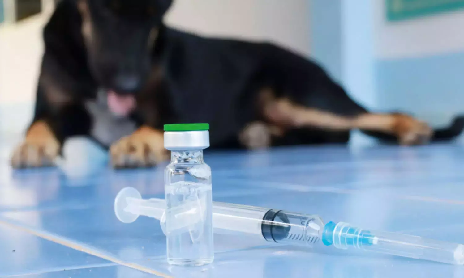 രണ്ടു മാസം മുമ്പ് നായയുടെ കടിയേറ്റ ഓട്ടോ ഡ്രൈവർ വീട്ടിൽ മരിച്ച നിലയിൽ