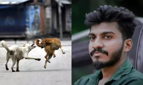 തെരുവുനായ ബൈക്കിന് കുറുകെ ചാടി അപകടം; യുവാവ് മരിച്ചു തെരുവുനായ ബൈക്കിന് കുറുകെ ചാടി അപകടം; യുവാവ് മരിച്ചു