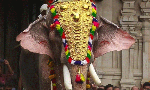 തെച്ചിക്കോട്ടുകാവ് രാമചന്ദ്രനെ എഴുന്നള്ളിക്കുന്നത് വിലക്കി ഹൈക്കോടതി