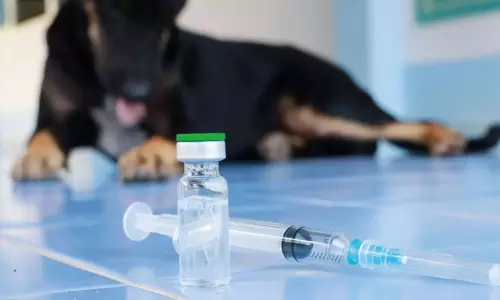 രണ്ടു മാസം മുമ്പ് നായയുടെ കടിയേറ്റ ഓട്ടോ ഡ്രൈവർ വീട്ടിൽ മരിച്ച നിലയിൽ