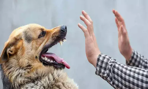 പട്ടിയുണ്ട്; പേവിഷബാധയെ പേടിക്കണം