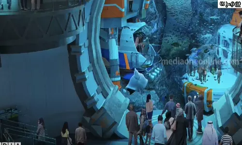 കടൽ ജീവിതം കാണാൻ തീം പാർക്ക്; സീവേൾഡ് പാർക്ക് അബൂദബി അടുത്ത വർഷം തുറന്നു കൊടുക്കും കടൽ ജീവിതം കാണാൻ തീം പാർക്ക്; സീവേൾഡ് പാർക്ക് അബൂദബി അടുത്ത വർഷം തുറന്നു കൊടുക്കും