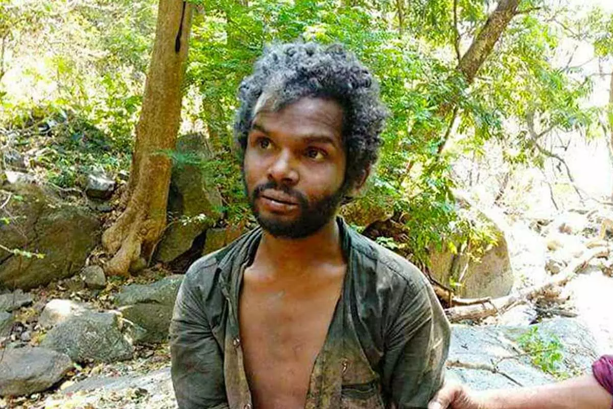 madu case, attappadi, madu case, attappadi,