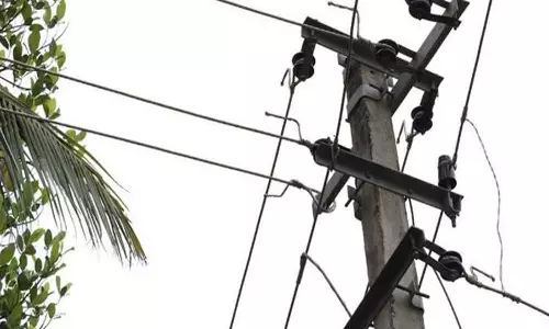 പന്നിക്ക് വെച്ച കെണിയിൽ നിന്ന് ഷോക്കേറ്റ് യുവാവ് മരിച്ചു