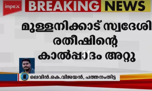 പത്തനംതിട്ടയിൽ തോട്ട പൊട്ടിത്തെറിച്ച് യുവാവിന്റെ കാൽ പാദം അറ്റു