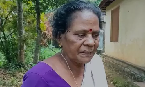 ഭക്ഷണം കൊടുക്കുന്നതിനിടെ സീരിയൽ നടിക്ക് തെരുവ് നായയുടെ കടിയേറ്റു