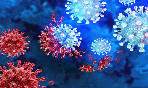 ബഹ്റൈനിൽ ആദ്യ കുരങ്ങുവസൂരി കേസ് സ്ഥിരീകരിച്ചു