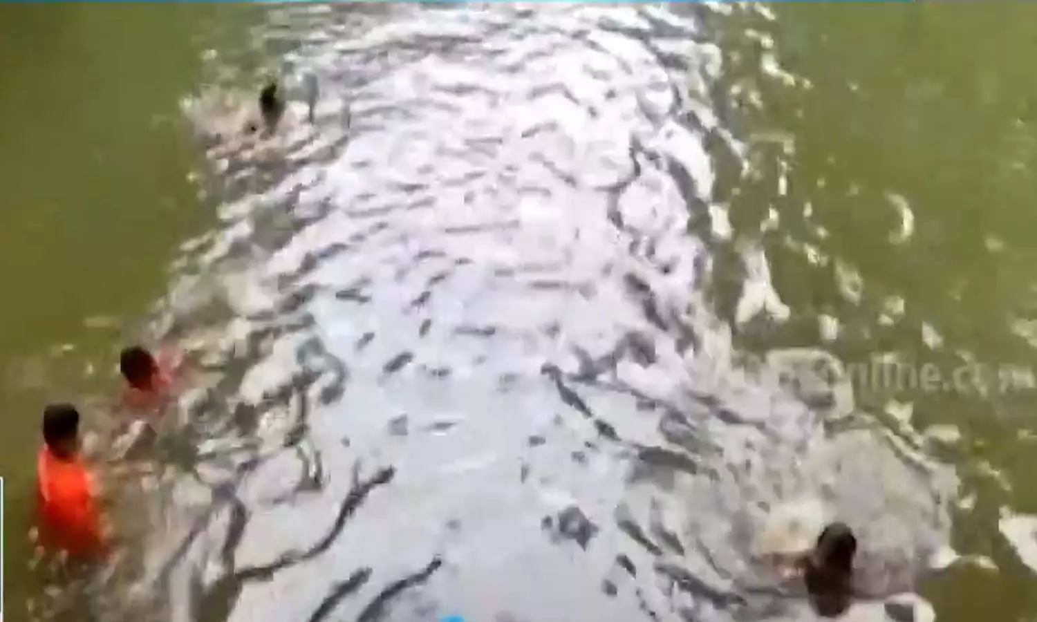 വാമനപുരം നദിയിൽ കാണാതായ യുവാവിന്റെ മൃതദേഹം കണ്ടെത്തി