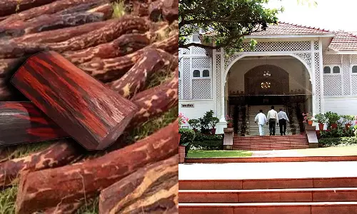 ​ഗവർ‍ണറുടെ വീട്ടിലും കള്ളൻ‍; രാജ്ഭവനിൽ നിന്ന് ചന്ദനമരങ്ങൾ മുറിച്ചു കടത്തി