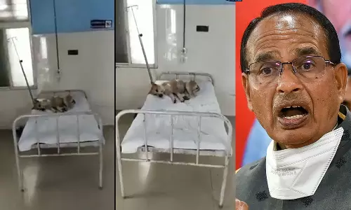 ​ഗവ. ആശുപത്രിക്കിടക്കയിൽ സുഖിച്ചുറങ്ങി നായ; ബി.ജെ.പി സർക്കാരിന്റെ ഭരണമികവെന്ന് പരിഹാസം