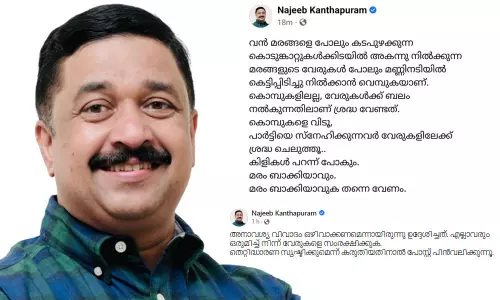 കൊമ്പുകളിലല്ല, വേരുകള്‍ക്ക് ബലം നല്‍കാന്‍ ശ്രദ്ധിക്കൂ; വിവാദങ്ങളില്‍ നജീബ് കാന്തപുരം