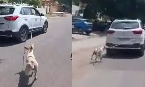 തെരുവ് നായയെ കാറിൽ കെട്ടി റോഡിലൂടെ വലിച്ചിഴച്ചു; സര്‍ക്കാർ ഡോക്ടർക്കെതിരെ കേസ്