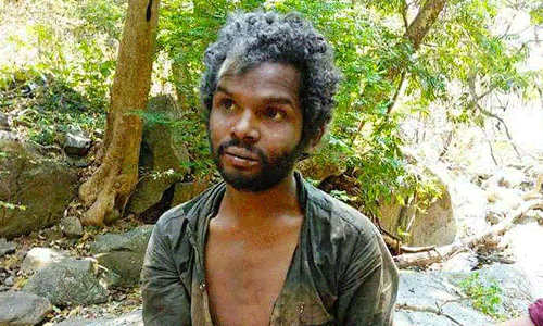 അട്ടപ്പാടി മധുവധക്കേസ്: 11 പ്രതികൾക്കും ജാമ്യമില്ല, വിചാരണക്കോടതി ഉത്തരവ് ശരിവച്ച് ഹൈക്കോടതി അട്ടപ്പാടി മധുവധക്കേസ്: 11 പ്രതികൾക്കും ജാമ്യമില്ല, വിചാരണക്കോടതി ഉത്തരവ് ശരിവച്ച് ഹൈക്കോടതി