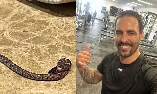 ലഖ്‌നൗ വാസം അടിപൊളിയായിട്ടുണ്ട്!; ഹോട്ടൽമുറിയിലെ പാമ്പിന്റെ ചിത്രം പങ്കുവച്ച് മിച്ചൽ ജോൺസൻ