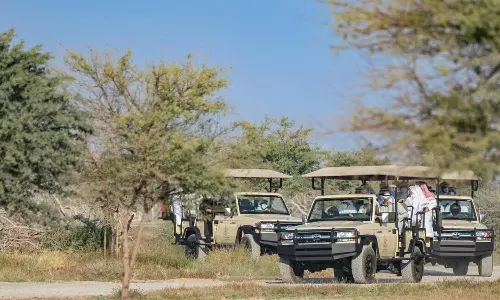 പുതുമയുള്ള ആഫ്രിക്കൻ കാഴ്ചകളുമായി ഷാർജ സഫാരി; നാളെ തുറക്കും പുതുമയുള്ള ആഫ്രിക്കൻ കാഴ്ചകളുമായി ഷാർജ സഫാരി; നാളെ തുറക്കും