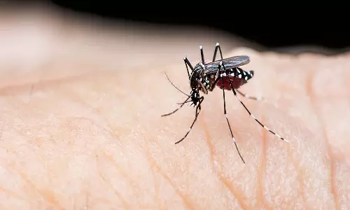 ഡെങ്കിപ്പനി പടരുന്നു, തടയേണ്ടത് അനിവാര്യം; പ്രതിരോധം വീട്ടിൽ നിന്ന് തുടങ്ങാം