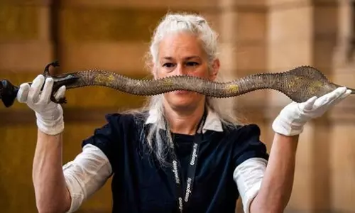 100 വര്‍ഷങ്ങള്‍ക്ക് ശേഷം ഹൈദരാബാദ് നിസാമിന്‍റെ വാള്‍ ബ്രിട്ടണ്‍ ഇന്ത്യക്ക് തിരികെ നല്‍കുന്നു