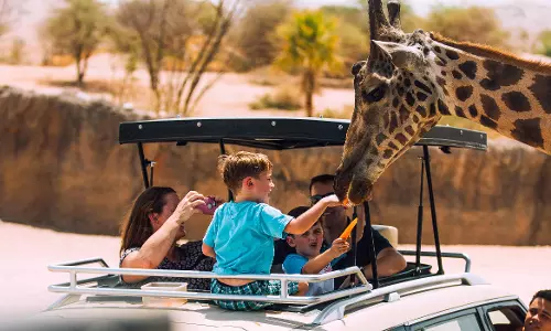 സൗദി ദേശീയ ദിനത്തോടനുബന്ധിച്ച്   അൽ ഐൻ മൃഗശാലയിലേക്ക് സൗജന്യ പ്രവേശനം