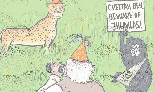 തീറ്റയോ ചീറ്റയോ