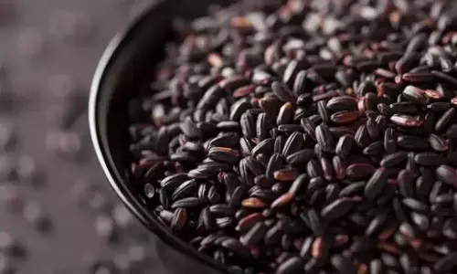 കറുത്ത അരിയോ? നെറ്റി ചുളിക്കേണ്ട.... ചില്ലറക്കാരനല്ല ഈ ബ്ലാക് റൈസ്