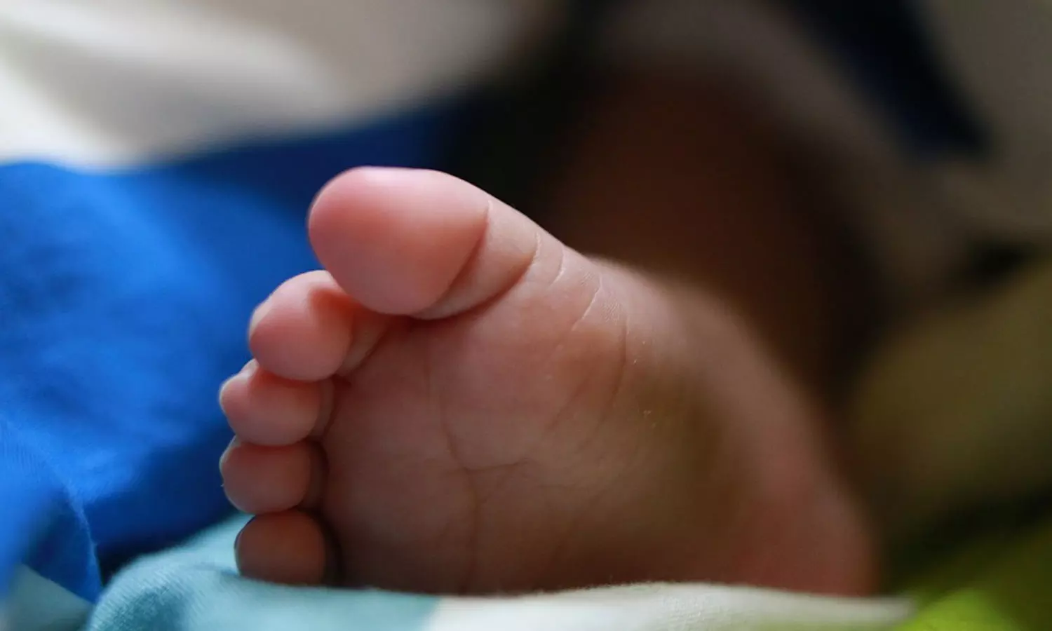 അട്ടപ്പാടിയില്‍ ആദിവാസി യുവതിയുടെ ഗര്‍ഭസ്ഥ ശിശുക്കള്‍ മരിച്ചു