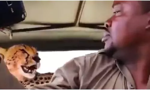 ചീറ്റയ്ക്കൊപ്പം സെല്‍ഫി; കുറച്ചു ഓവറായില്ലേ എന്ന് സോഷ്യല്‍മീഡിയ