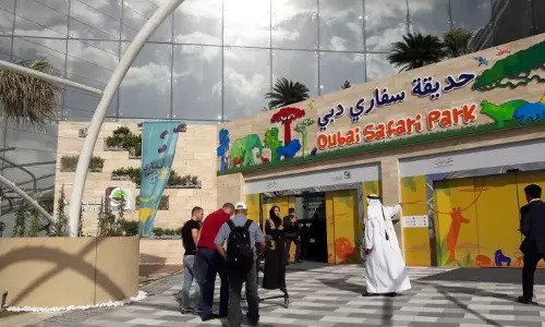 ദുബൈ സഫാരി പാർക്ക് പൊതുജനങ്ങൾക്കായി   നാളെ മുതൽ തുറന്നുകൊടുക്കും