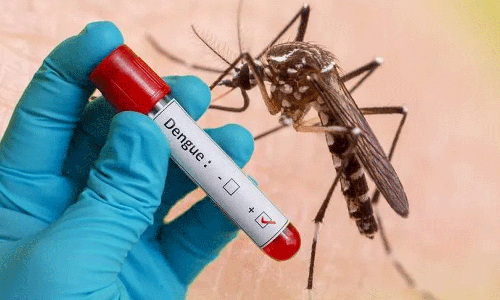 ഡങ്കിപ്പനി കേസുകൾ കുത്തനെ ഉയരുന്നു; കൊതുക് നിർമാർജ്ജനം ലക്ഷ്യമിട്ട് ഡൽഹി സർക്കാർ