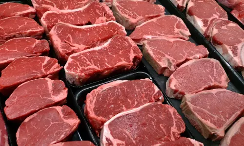 നവരാത്രി; നോയിഡയിലെ ഇറച്ചിക്കടകള്‍ അടപ്പിച്ചു, ഉത്തരവൊന്നും നല്‍കിയിട്ടില്ലെന്ന് ജില്ലാഭരണകൂടം