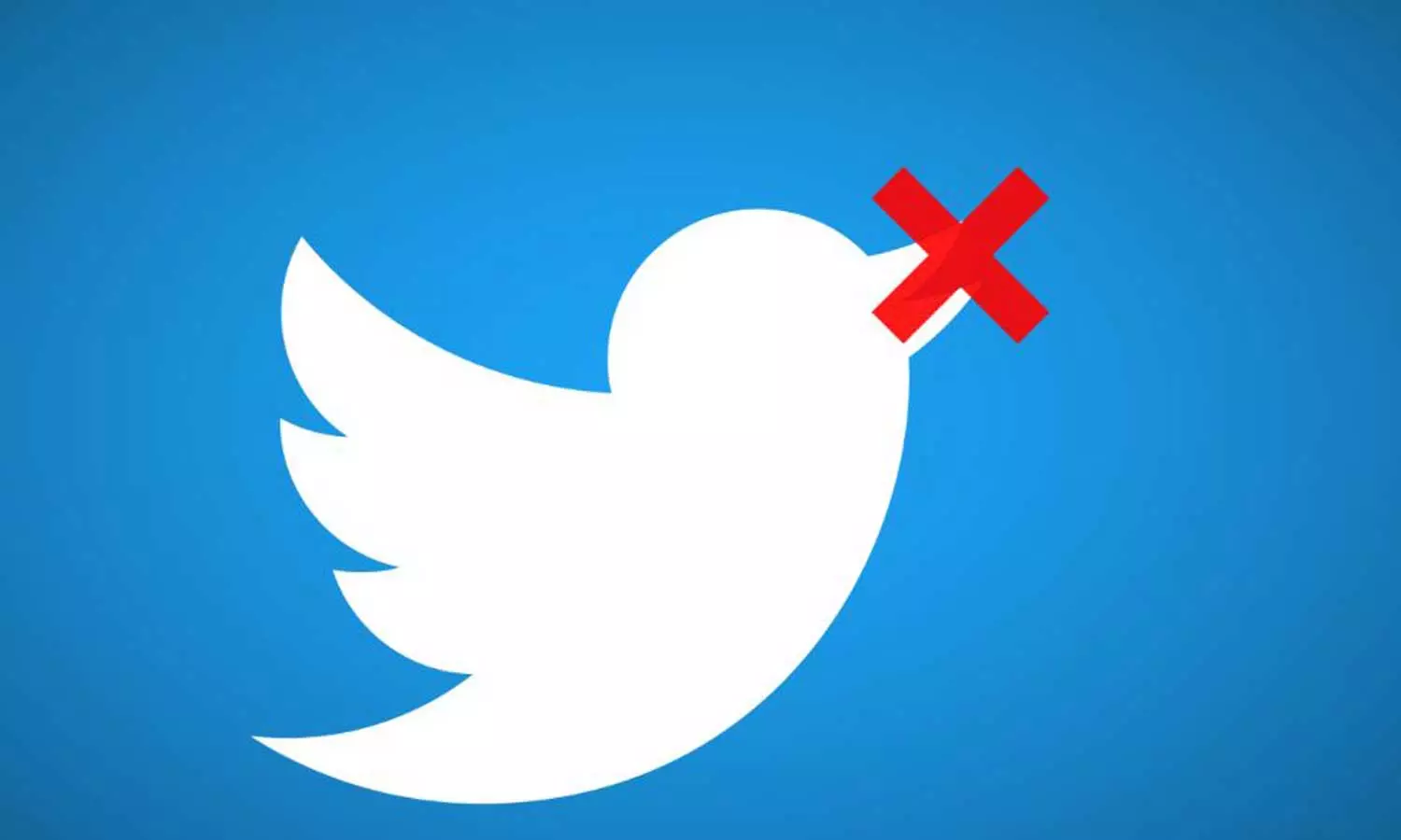 ചൈൽഡ് പോണോഗ്രഫി: 23 അക്കൗണ്ടുകൾ ബ്ലോക്ക് ചെയ്ത് ട്വിറ്റർ ചൈൽഡ് പോണോഗ്രഫി: 23 അക്കൗണ്ടുകൾ ബ്ലോക്ക് ചെയ്ത് ട്വിറ്റർ