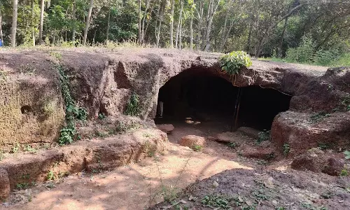 കോഴിക്കോട് ഫറോക്കിൽ ടിപ്പുവിന്റെ കോട്ടമതിൽ കണ്ടെത്തി