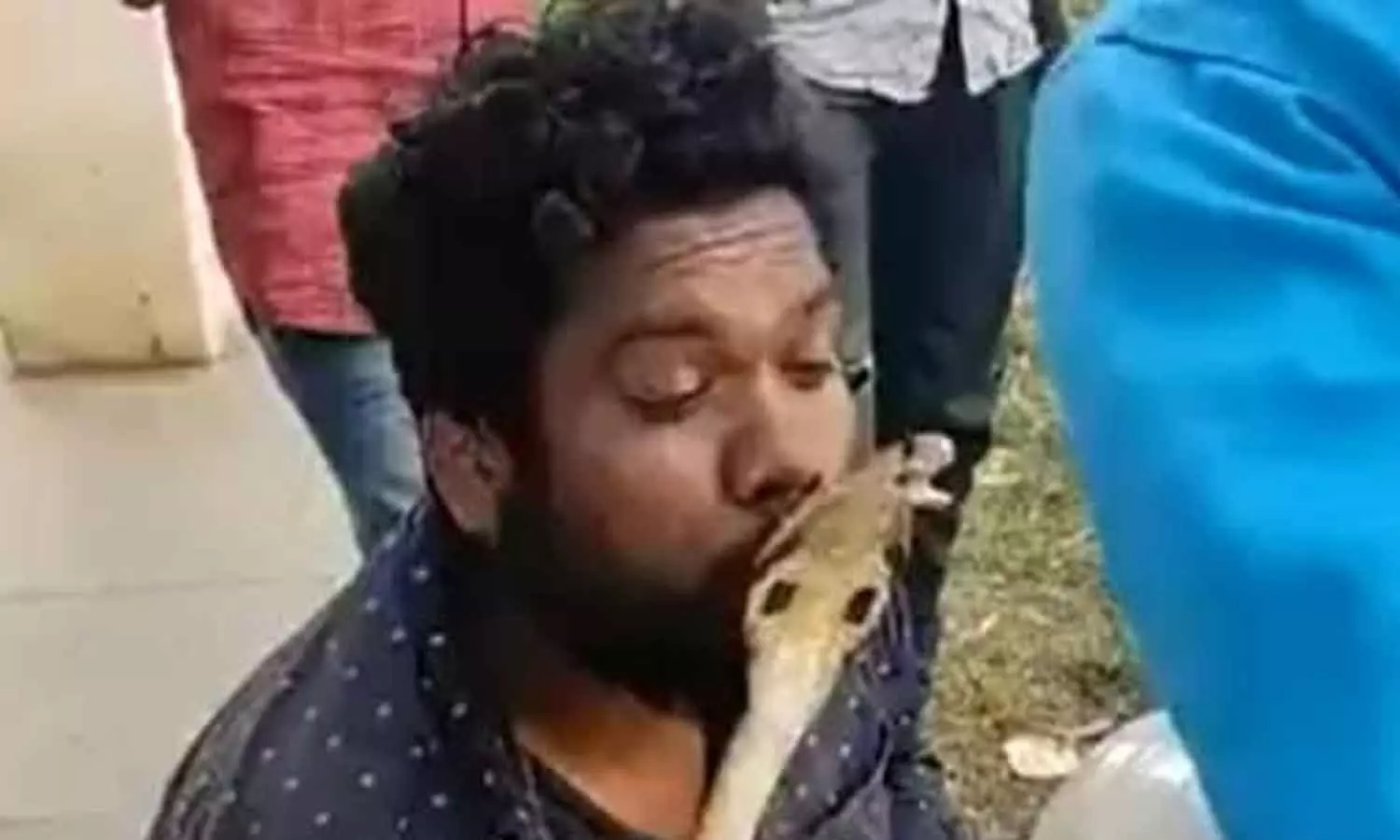 മൂർഖൻ പാമ്പിനെ പിടികൂടി ചുംബിച്ച യുവാവിന്റെ ചുണ്ടിൽ കടിയേറ്റു