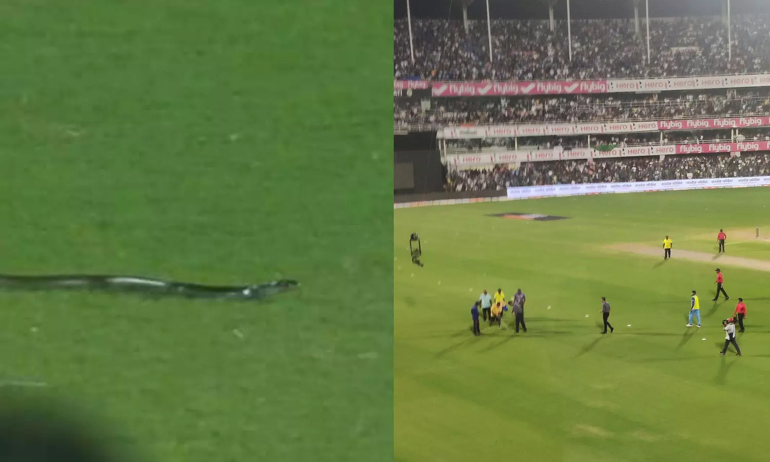 കളിക്കിടയില് മൈതാനത്ത് പാമ്പ്! പരിഭ്രാന്തരായി താരങ്ങള് കളിക്കിടയില് മൈതാനത്ത് പാമ്പ്! പരിഭ്രാന്തരായി താരങ്ങള്