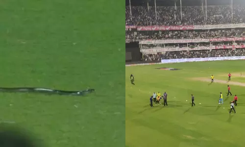 കളിക്കിടയില്‍ മൈതാനത്ത് പാമ്പ്! പരിഭ്രാന്തരായി താരങ്ങള്‍