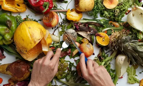 ഭക്ഷണം പാഴാക്കുന്നതിനെതിരെ കാപിറ്റൽ ഗവർണറേറ്റിൽ ബോധവൽക്കരണം